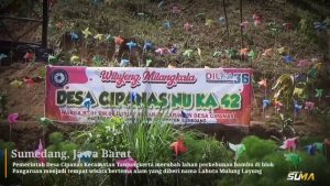Ayo Berkunjung Ke Desa Cipanas Perbukitannya diHiasi Ribuan Baling-baling Warna-warni