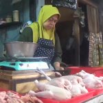 Harga Daging Ayam Potong Terus Naik, Ini Faktor Penyebabnya