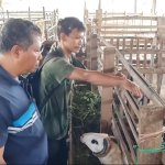 Pedagang Cilok di Majalengka Beli Hewan Kurban Pakai Uang Koin