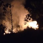 Lima Hektar Lahan di Kaki Gunung Kareumbi Terbakar