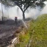 Lahan Kosong di Sebelah Tol Cipali KM 147 Terbakar, Asap Tebal Sempat Ganggu Pandangan Pengendara