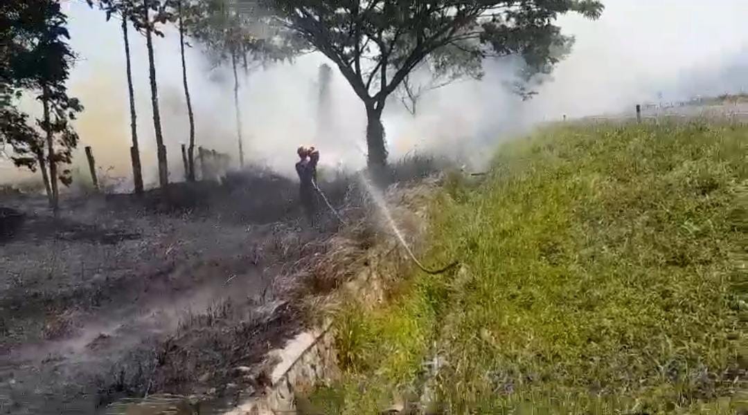 Lahan Kosong di Sebelah Tol Cipali KM 147 Terbakar, Asap Tebal Sempat Ganggu Pandangan Pengendara