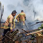 Kandang Ayam Milik Warga di Tanjungsari Ludes Terbakar, Ratusan Ayam Mati Terpanggang