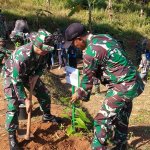 Lestarikan Lingkungan, Kodim 0610 Sumedang Tanam Ratusan Pohon, JurnalSuma