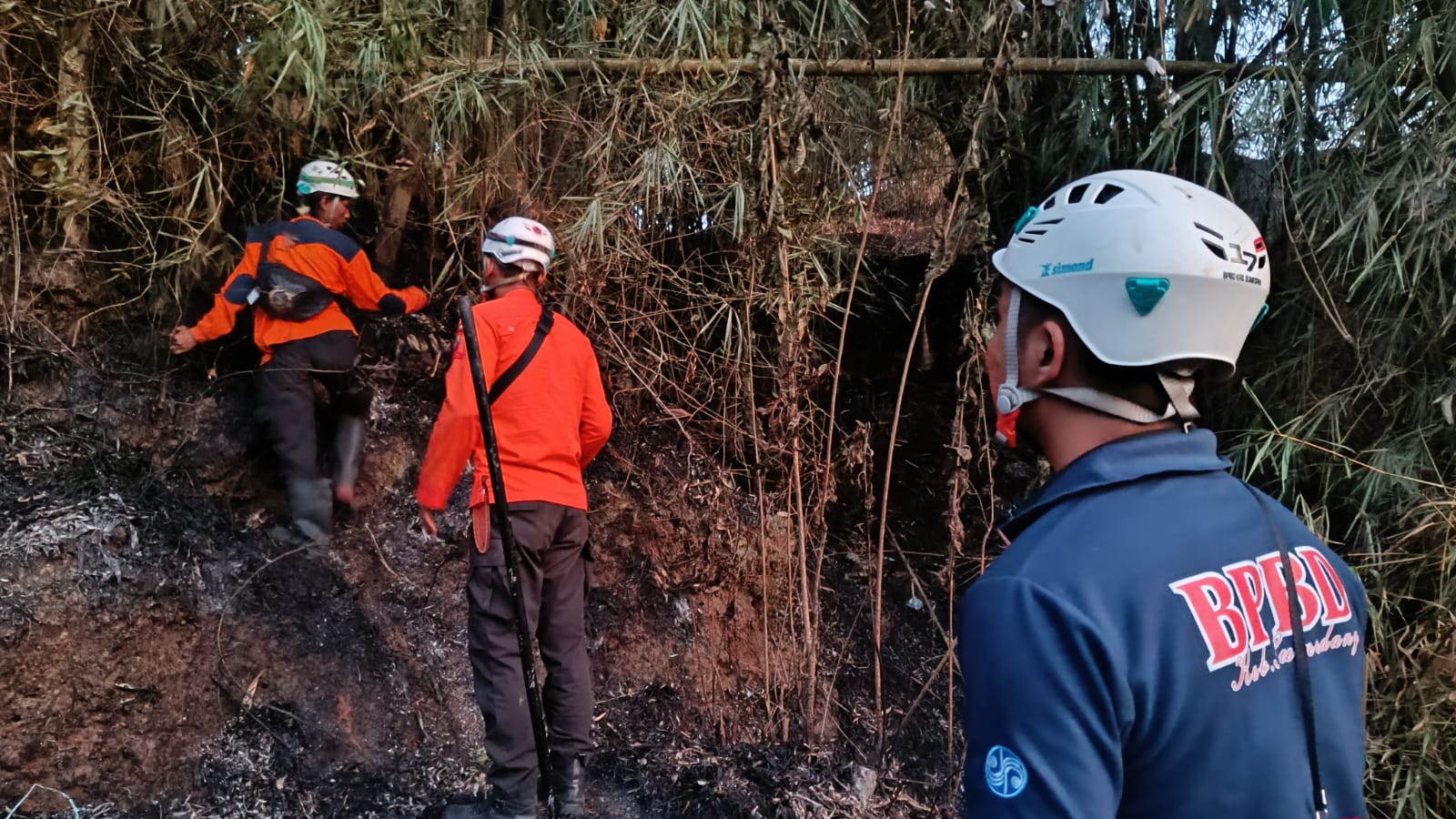 Lahan Bambu di Gunung Kerud Terbakar, Petugas Padamkan Api dengan Alat Seadanya, JurnalSuma
