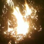 Diduga Membuang Puntung Rokok Sebarangan, Lahan Bambu di Situraja Terbakar, JurnalSuma