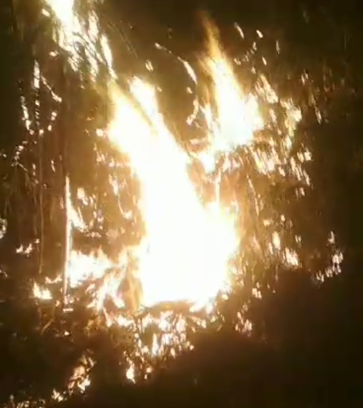 Diduga Membuang Puntung Rokok Sebarangan, Lahan Bambu di Situraja Terbakar, JurnalSuma