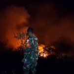 Kebakaran Kaki Gunung Kareumbi Padam, Luas Area Terbakar Belum Dapat Diperkirakan, JurnalSuma