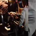 Pawang Ular Meninggal Digigit King Cobra saat Tampil di Peringatan HUT ke-78 RI, JurnalSuma