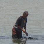 Warga Manfaatkan Lahan Pesisir Waduk Jatigede yang Surut untuk Bercocok Tanam dan Mencari Keong Sawah, JurnalSuma