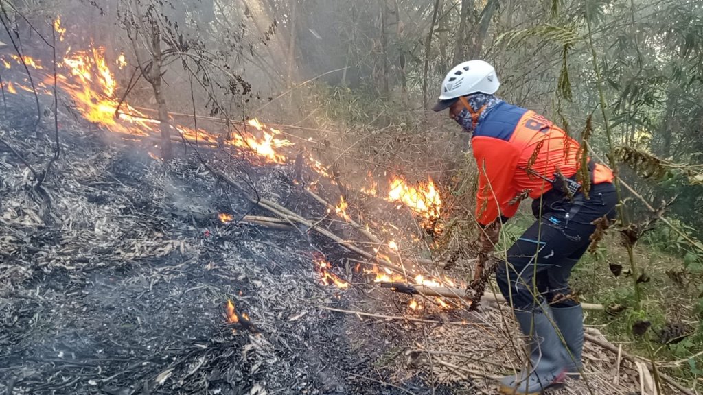 Tiga Hektar Lahan di Kawasan Gunung Susuruh Terbakar, JurnalSuma