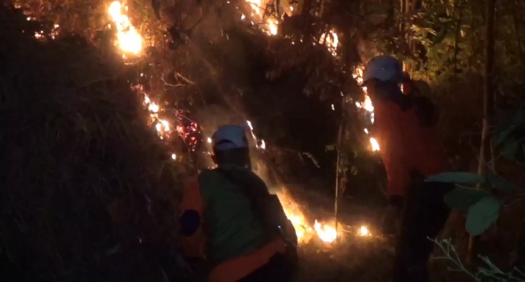 Tiga Hektar Lahan di Kawasan Gunung Susuruh Terbakar, JurnalSuma