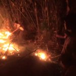 Lahan Kebun Bambu di Jatinunggal Terbakar, Petugas Damkar Terkendala Selang yang Terbatas dan Banyak Kebocoran, JurnalSuma