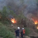 Lahan Bambu Seluas Satu Hektare di Rancamulya Terbakar, JurnalSuma