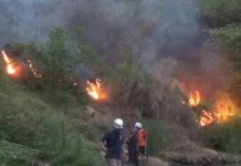 Lahan Bambu Seluas Satu Hektare di Rancamulya Terbakar, JurnalSuma