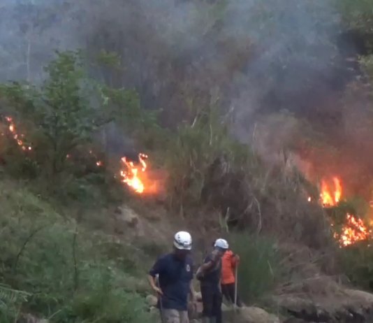Lahan Bambu Seluas Satu Hektare di Rancamulya Terbakar, JurnalSuma