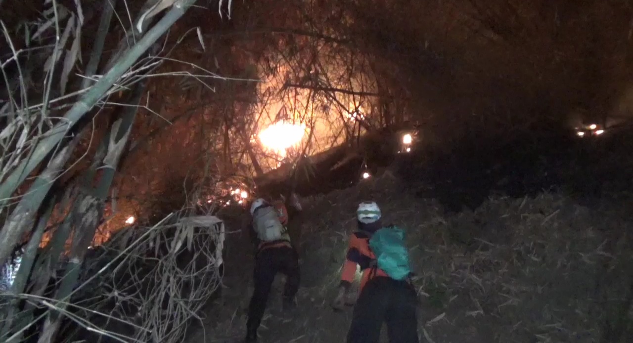 Minim Peralatan, Petugas di Sumedang Bertaruh Nyawa Demi Padamkan Kebakaran Hutan, JurnalSuma