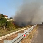 Lahan Ilalang di Area Tol Cisumdawu Terbakar, Kepulan Asap Menggangu Pengguna Jalan, JurnalSuma