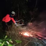 Lahan Ilalang di Tanjungkerta Hangus Terbakar, JurnalSuma