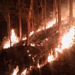 Bukit Gunung Kacapi Kembali Terbakar, Petugas Kewalahan Memadamkan Kobaran Api, JurnalSuma