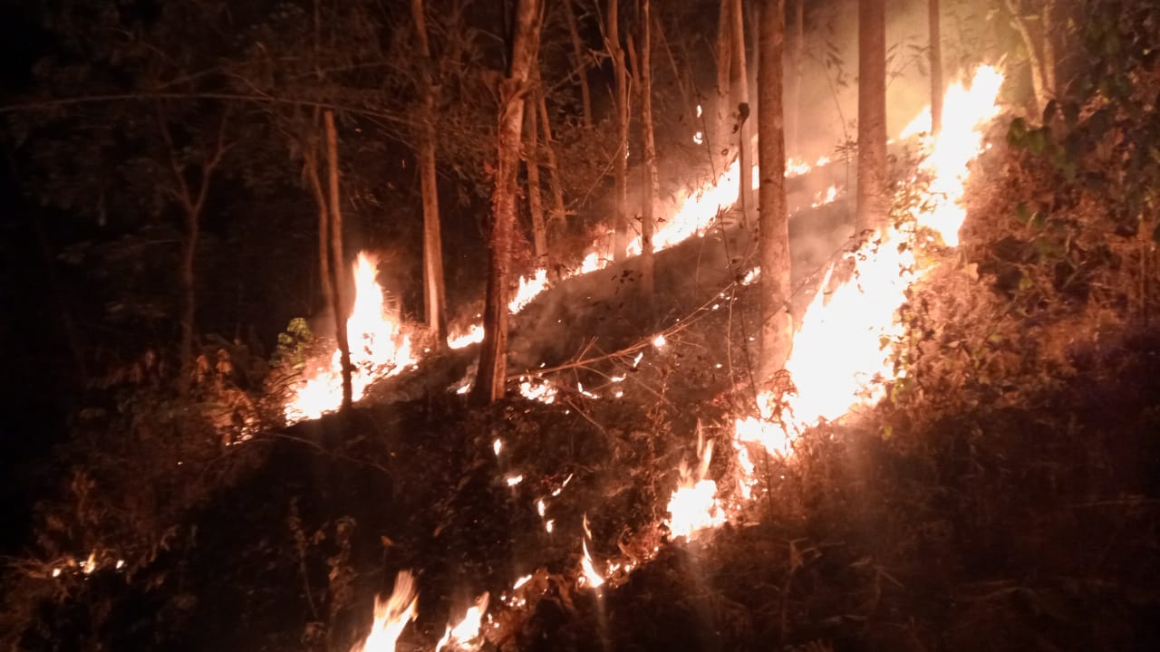Bukit Gunung Kacapi Kembali Terbakar, Petugas Kewalahan Memadamkan Kobaran Api, JurnalSuma