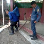 Damkar Conggeang Evakuasi Ular King Koros 2 Meter yang Berkeliaran di Masjid, JurnalSuma