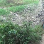 Kekeringan, Warga di Sumedang Bikin Kubangan di Sungai Kering, JurnalSuma