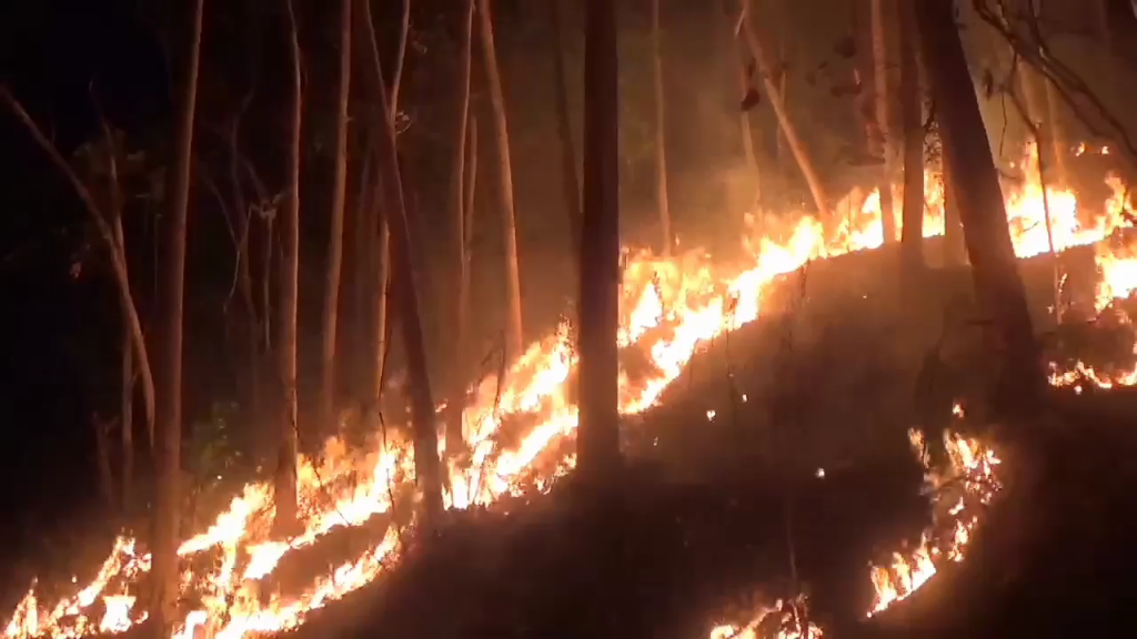 Bukit Gunung Kacapi Kembali Terbakar, Petugas Kewalahan Memadamkan Kobaran Api, JurnalSuma