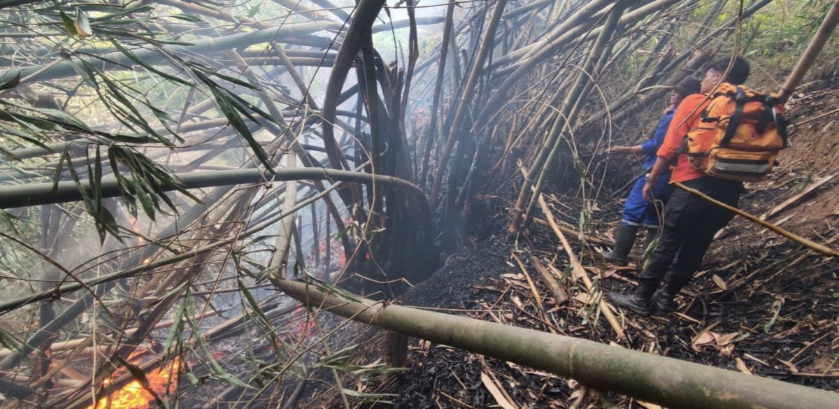 Tiga Hektare Lahan Kebun Bambu di Pasangrahan Baru Terbakar, Jurnal Suma
