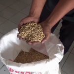 Harga Kedelai di Sumedang Tembus Rp 13 Ribu Per Kilogram, Jurnal Suma