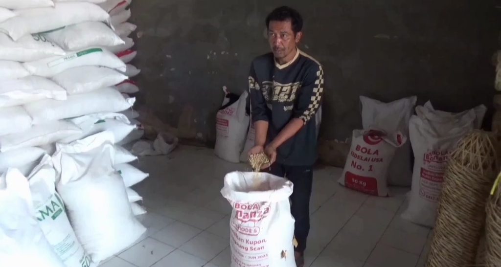 Harga Kedelai di Sumedang Tembus Rp 13 Ribu Per Kilogram, Jurnal Suma