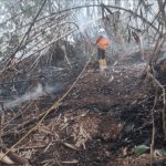 Meski Sudah Diguyur Hujan, Kebakaran Lahan di Sumedang Masih Terjadi, Jurnal Suma