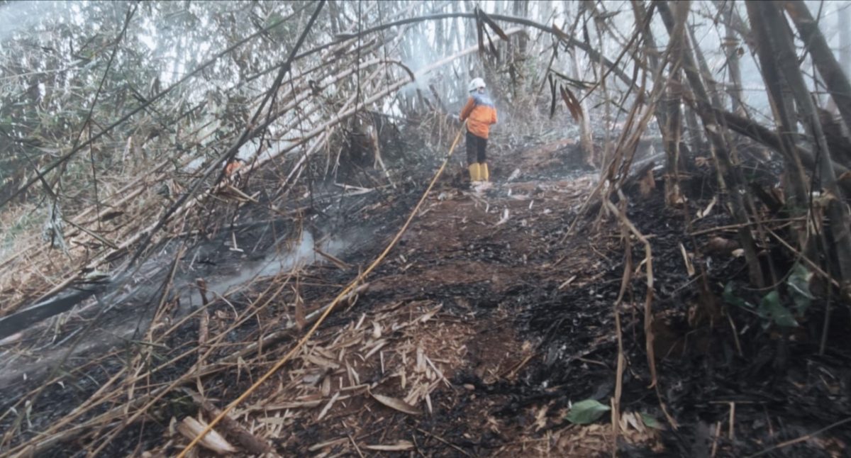 Meski Sudah Diguyur Hujan, Kebakaran Lahan di Sumedang Masih Terjadi, Jurnal Suma