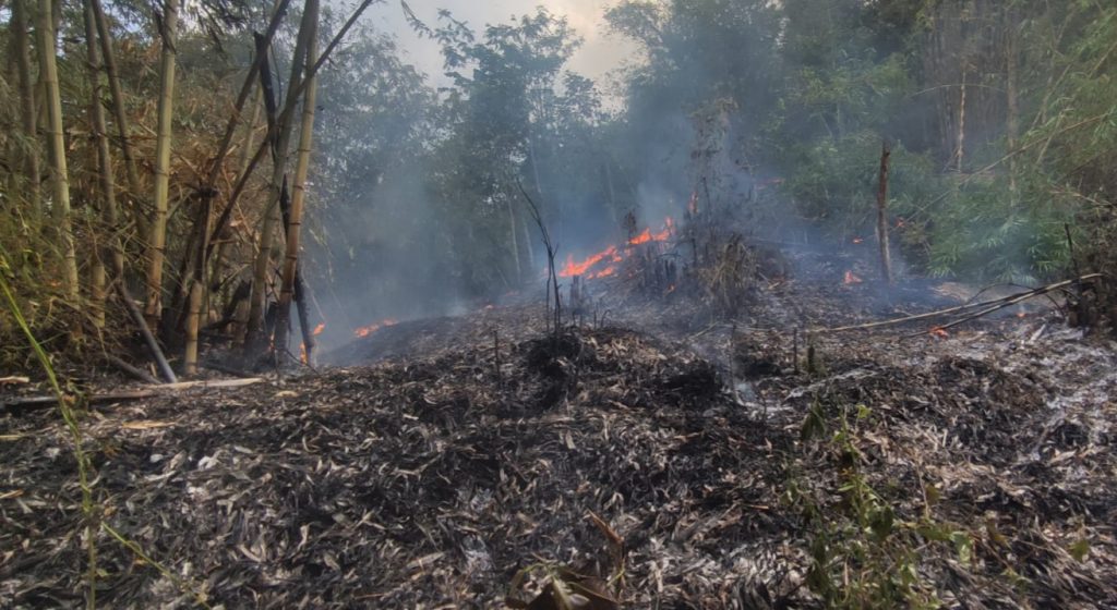 Meski Sudah Diguyur Hujan, Kebakaran Lahan di Sumedang Masih Terjadi, Jurnal Suma