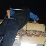 Damkar Conggeang Evakuasi Sarang Tawon Vespa di Atap Rumah Warga Paseh Kaler, Jurnal Suma