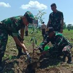 Lestarikan Alam, Kodim 0610 Sumedang Tanam 1000 Pohon di Jatigede, Jurnal Suma
