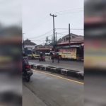 Viral! Seekor Kuda di Sumedang Kabur ke Jalan Raya dan Menabrak Pemotor, Jurnal Suma