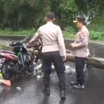 Dua Tiang Listrik di Jalur Cadas Pangeran Roboh Timpa Dua Sepeda Motor, Jurnal Suma
