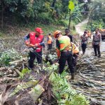 Jelang Mudik Lebaran, Pohon Rawan Tumbang di Cadas Pangeran Ditebang