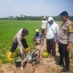 600 Hektar Sawah di Ujungjaya Kekeringan, Polres Sumedang Bantu Buatkan Sumur Pantek