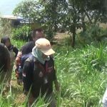 Demi Coklit, Petugas Pantarlih di Sumedang Lintasi Waduk Jatigede
