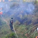 Lima Hektar Lahan di Dekat Pintu Keluar Gerbang Tol Cimalaka Sumedang Terbakar