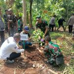 Lestarikan Lingkungan, Kodim 0610 Sumedang Lakukan Penghijauan