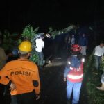 Pohon Tumbang Tutup Jalan Provinsi di Wado Sumedang, Lalin Sempat Macet
