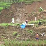 Longsor Terjang Areal Persawahan di Sumedang, Puluhan Hektar Sawah Terancam Tak Terairi