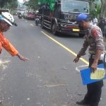 Pohon Pinus di Jalur Cadas Pangeran Tumbang Timpa Pemotor, Satu Orang Meninggal Dunia