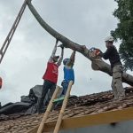 Rumah Warga di Cimalaka Sumedang Rusak Tertimpa Pohon Tumbang