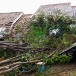Dua Rumah dan Sepeda Motor di Sumedang Rusak Tertimpa Pohon Tumbang