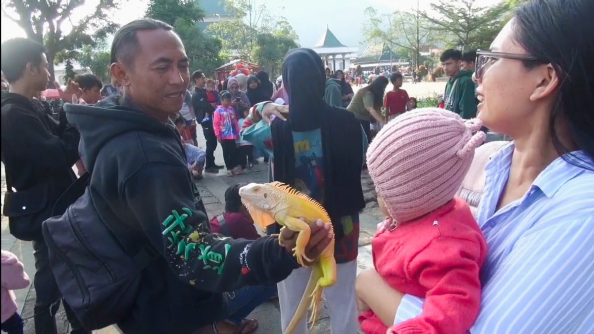 Menunggu Buka Puasa dengan Reptil, Alun-alun Sumedang Jadi Tempat Ngabuburit Seru