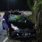 Minibus Ringsek Tertimpa Pohon Tumbang di Cadas Pangeran, Tiga Orang Terluka